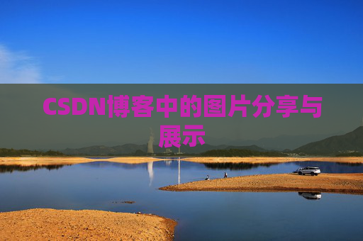 CSDN博客中的图片分享与展示